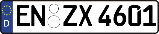 EN-ZX4601
