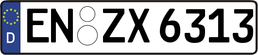 EN-ZX6313