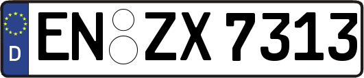 EN-ZX7313