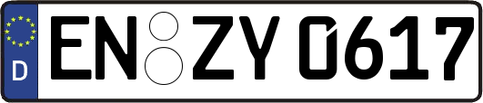 EN-ZY0617