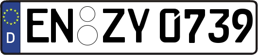 EN-ZY0739