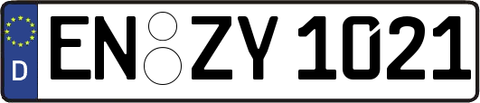 EN-ZY1021