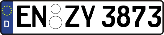 EN-ZY3873