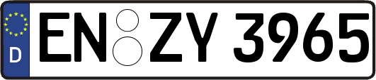 EN-ZY3965