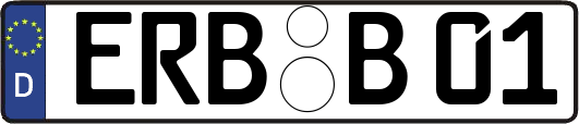 ERB-B01