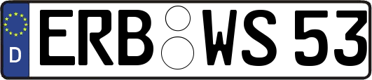 ERB-WS53