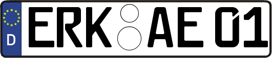 ERK-AE01