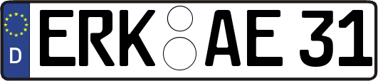 ERK-AE31