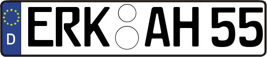 ERK-AH55
