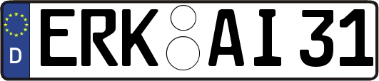 ERK-AI31