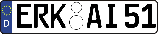 ERK-AI51