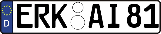 ERK-AI81