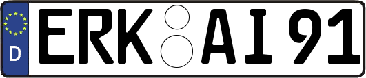 ERK-AI91
