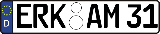 ERK-AM31