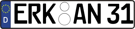 ERK-AN31