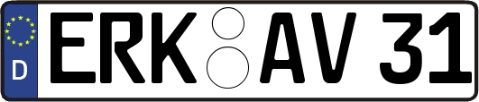 ERK-AV31