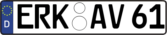 ERK-AV61