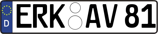 ERK-AV81