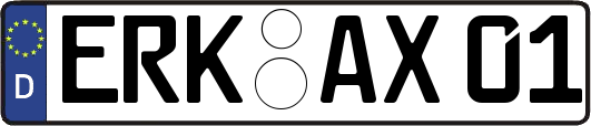 ERK-AX01