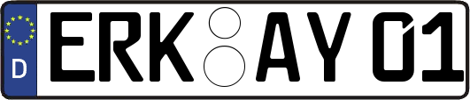 ERK-AY01