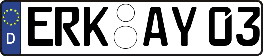 ERK-AY03