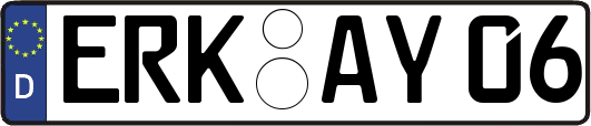 ERK-AY06