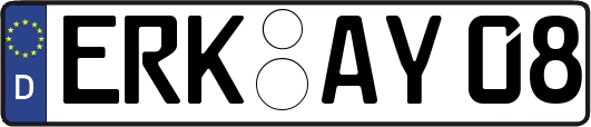 ERK-AY08