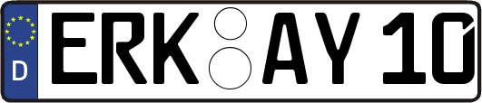 ERK-AY10