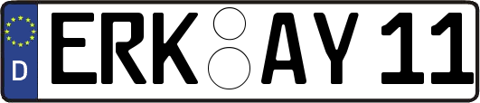 ERK-AY11