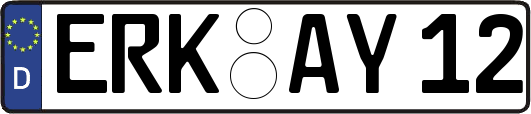 ERK-AY12