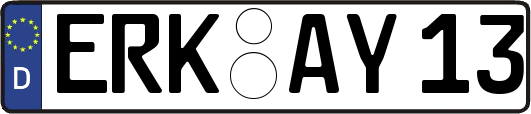 ERK-AY13