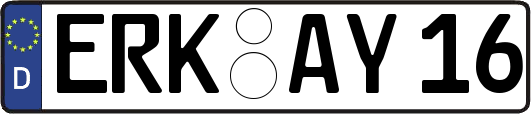 ERK-AY16