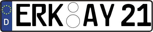 ERK-AY21