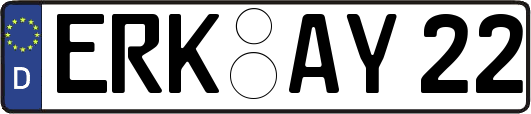 ERK-AY22