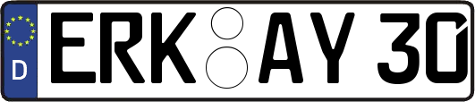ERK-AY30