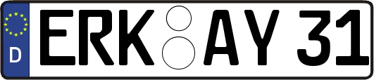 ERK-AY31