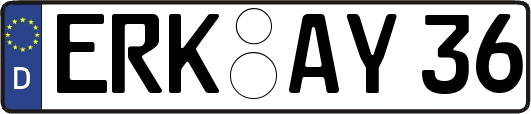 ERK-AY36