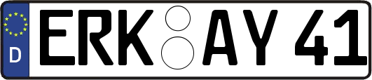ERK-AY41