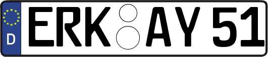 ERK-AY51