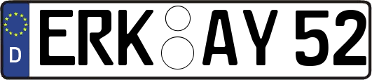 ERK-AY52