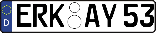 ERK-AY53