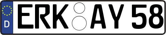 ERK-AY58
