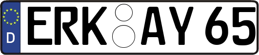 ERK-AY65