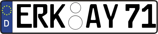 ERK-AY71