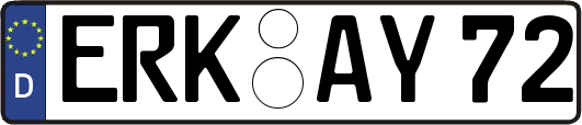 ERK-AY72