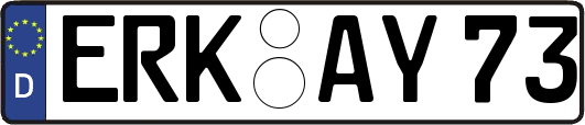 ERK-AY73