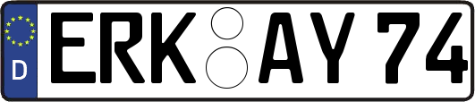 ERK-AY74