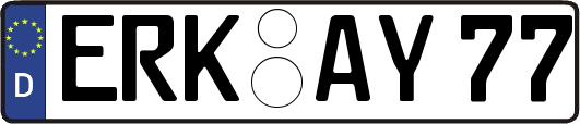 ERK-AY77