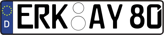 ERK-AY80