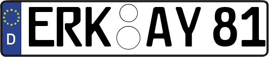 ERK-AY81